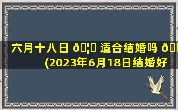 六月十八日 🦋 适合结婚吗 🐒 (2023年6月18日结婚好不好呢)